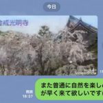 森山直太朗「さくら」