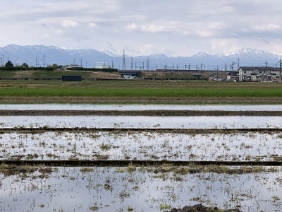 ゆーじの家の周り ①