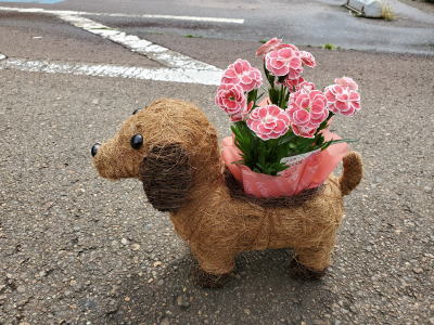 母の日 2020年5月10日（日）