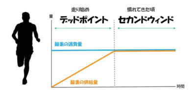 デッドポイントとセカンドウインド