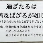 過ぎたるは、なお及ばざるが如し