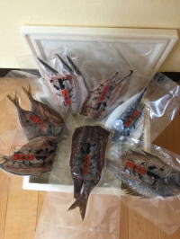 一夜干し詰め合わせセット　7枚入り　￥5,000 (送料込み 北海道 沖縄除く）