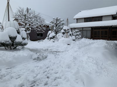 ゆーじの自宅 2021年1月8日（金）