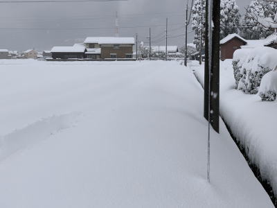 ゆーじの自宅の横の道 2021年1月8日（金）