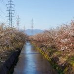 ゆーじの自宅近くの河川敷