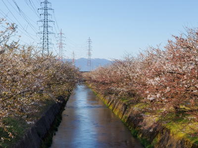 ゆーじの自宅近くの河川敷