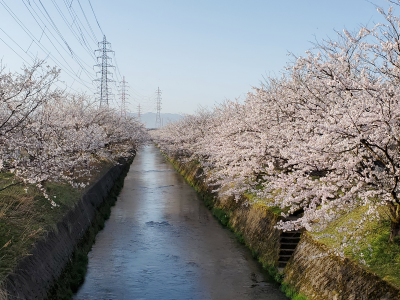ゆーじの自宅近くの河川敷