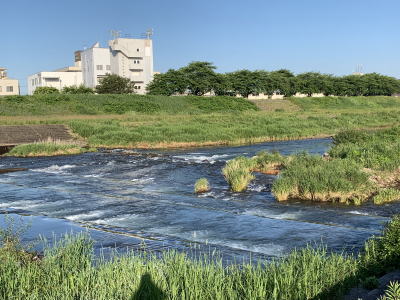 犀川河川敷 2021年5月31日（月）