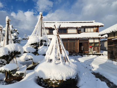 ゆーじの自宅 2026年1月3日（土）